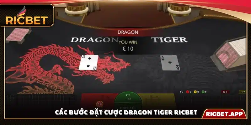 Từng bước đặt cược trong Dragon Tiger Ricbet
