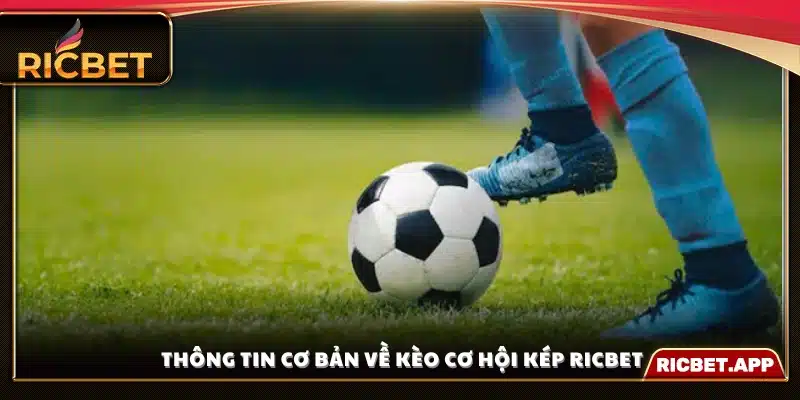 Giới thiệu khái quát về loại kèo cơ hội kép