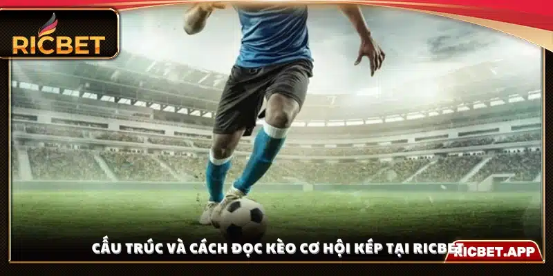 Hướng dẫn chi tiết cách đọc và hiểu tỷ lệ trong kèo