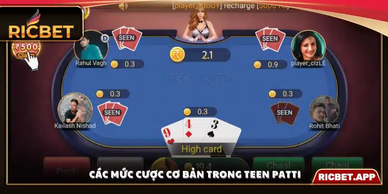 Hướng dẫn chi tiết về mức cược Teen Patti